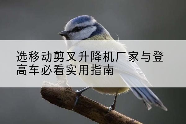 裕民电动升降机厂家-选移动剪叉升降机厂家与登高车必看实用指南