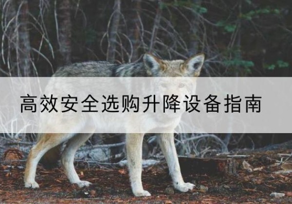 裕民升降货梯厂家推荐-*安全选购升降设备指南